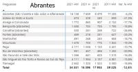 Censos2021: Portugal tem menos 214 mil residentes do que em 2011 - (com quadros da região)