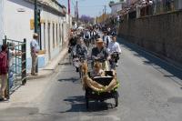Entrada de toiros voltou a ser destaque no feriado municipal da Chamusca (c/vídeo)
