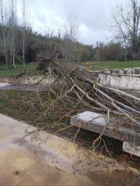 Os efeitos dos ventos na região (EM ATUALIZAÇÃO - C/ Áudio)