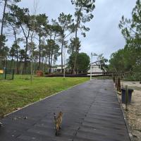 Os efeitos dos ventos na região (EM ATUALIZAÇÃO - C/ Áudio)