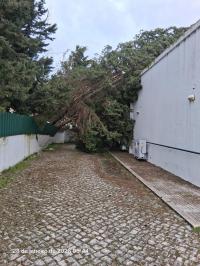 Os efeitos dos ventos na região (EM ATUALIZAÇÃO - C/ Áudio)