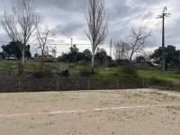 Os efeitos dos ventos na região (EM ATUALIZAÇÃO - C/ Áudio)