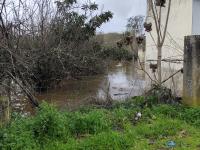 Em Abrantes, há estradas cortadas e evacuam-se as zonas baixas (Em atualização)