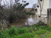 Em Abrantes, há estradas cortadas e evacuam-se as zonas baixas (Em atualização)