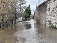 Em Abrantes, há estradas cortadas e evacuam-se as zonas baixas (Em atualização)