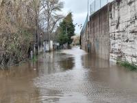 Em Abrantes, há estradas cortadas e evacuam-se as zonas baixas (Em atualização)