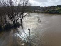 Em Abrantes, há estradas cortadas e evacuam-se as zonas baixas (Em atualização)