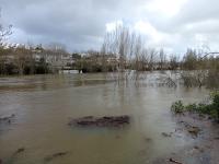 Em Abrantes, há estradas cortadas e evacuam-se as zonas baixas (Em atualização)