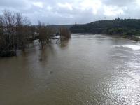 Em Abrantes, há estradas cortadas e evacuam-se as zonas baixas (Em atualização)