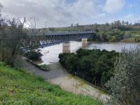 Em Abrantes, há estradas cortadas e evacuam-se as zonas baixas (Em atualização)