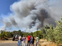 Incêndio com 70% do perímetro em consolidação. Frente ativa a sul de Penhascoso. Não há habitações em risco (C/ Áudio)