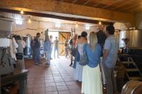 «Quintas do Médio Tejo» levaram 230 participantes a descobrir os vinhos e o enoturismo da região