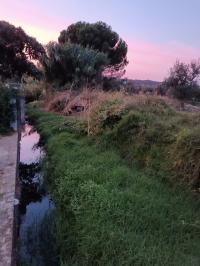 Moradores queixam-se de maus cheiro e eventuais descargas de águas residuais em ribeira (c/áudio) 