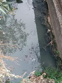 Moradores queixam-se de maus cheiro e eventuais descargas de águas residuais em ribeira (c/áudio) 