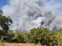 Incêndio com 70% do perímetro em consolidação. Frente ativa a sul de Penhascoso. Não há habitações em risco (C/ Áudio)