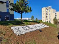 Grupo de jovens ganha projeto e quer a Encosta (da Barata) + Verde (c/fotos e áudio)