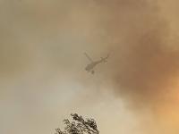 Incêndio dominado em cerca de 80% (C/ÁUDIO)