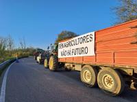 Várias estradas do país condicionadas devido ao protesto e Ponte da Chamusca com marcha lenta (C/ Áudio)
