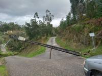 Decretada situação de calamidade até dia 1 de fevereiro