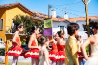 Festival Z confirma recuperação do concelho com edição marcada por forte adesão do público