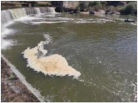 Ambientalistas apelam ao Governo para terminar com a poluição no rio Ocreza
