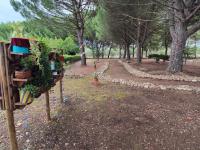 Utentes do CRIA já têm um Jardim Sensorial e um ginásio ao ar livre (c/áudio e fotos)