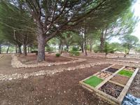 Utentes do CRIA já têm um Jardim Sensorial e um ginásio ao ar livre (c/áudio e fotos)