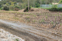Câmara de Abrantes assegura que obras em ribeira seguem as «melhores práticas»
