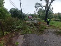 Tornado atingiu o Sardoal arrancando árvores e com prejuízos numa habitação (c/áudio e vídeos ATUALIZADA 18:30)