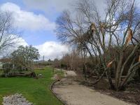 Vila de Rei continua sem comunicações e metade do concelho sem eletricidade (c/áudio)