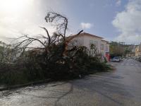 Vila de Rei continua sem comunicações e metade do concelho sem eletricidade (c/áudio)