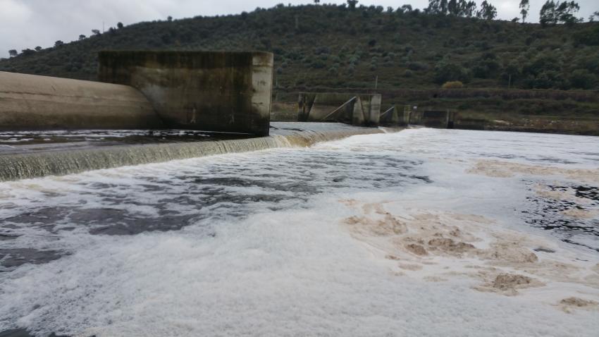 Poluição volta ao rio Tejo | COM SOM