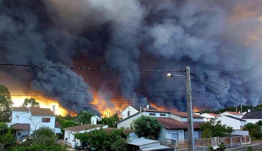 Centro de Estudos e Intervenção em Proteção Civil vai analisar fogos deste ano