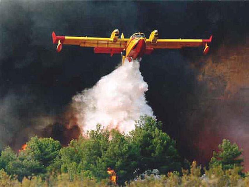 Frota aérea de combate a incêndios florestais da UE entra hoje de prevenção
