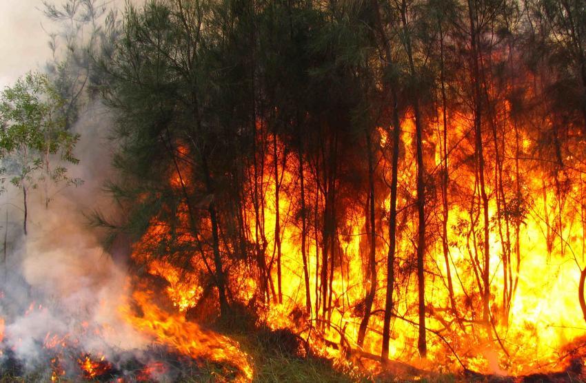 Proteção Civil alerta para risco de incêndios com temperaturas a subir até sábado