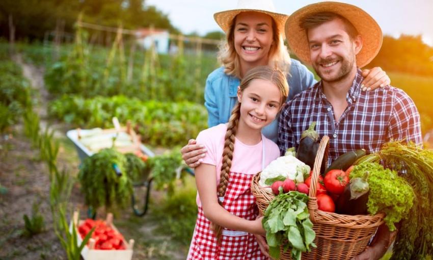 Plano de ação para agricultura familiar em consulta pública até ao fim do mês