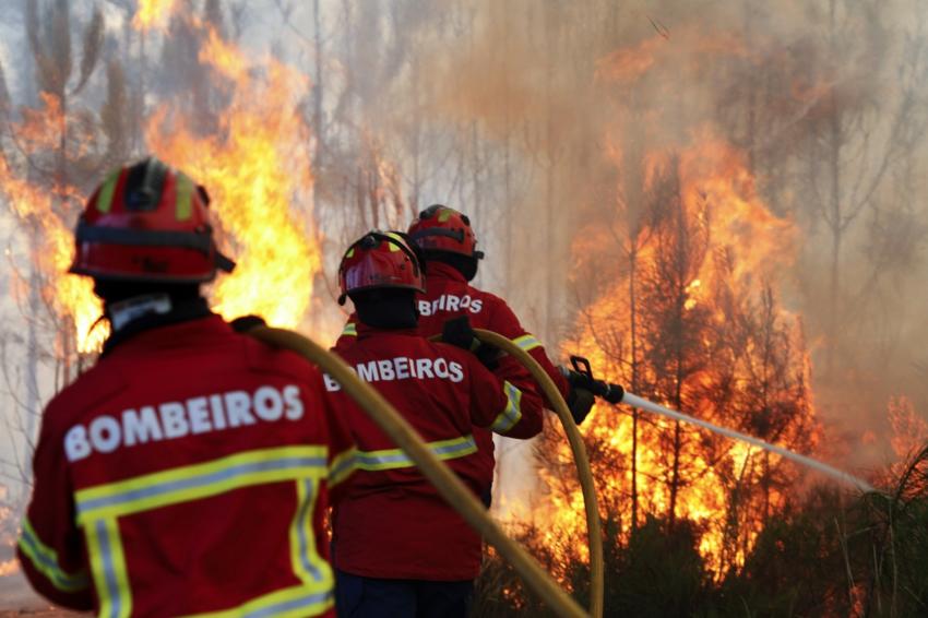 Fogos de Carrazeda de Ansiães, Pombal e Ourém queimaram mais de 6.300 hectares - Proteção Civil