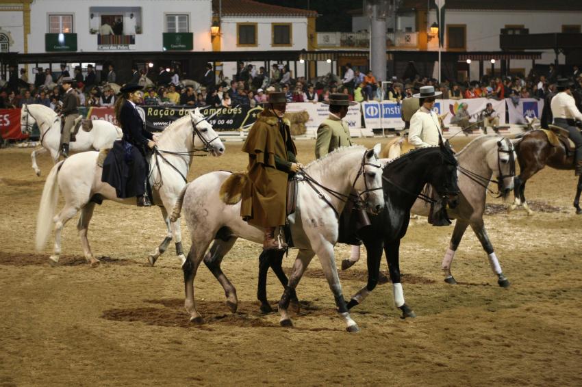 Cavalos e castanhas assadas animam vila ribatejana de 04 a 11 de novembro