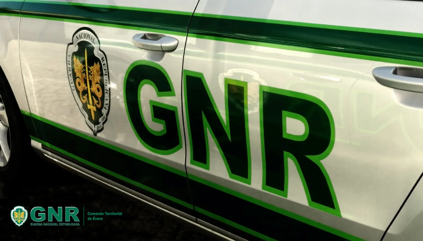 GNR apreende cerca de mil artigos contrafeitos no concelho de Nisa