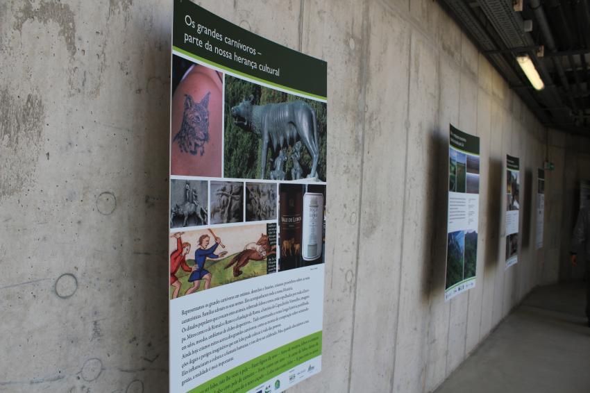 Abrantes: Parque Tejo inaugura exposição sobre os “Grandes Carnívoros” 