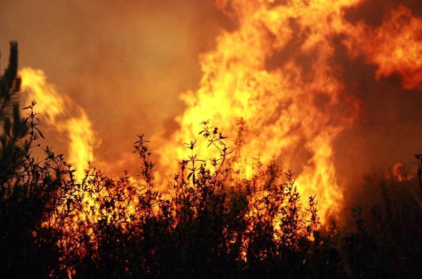 Câmara de Ourém estima área ardida na ordem dos 3.000 hectares