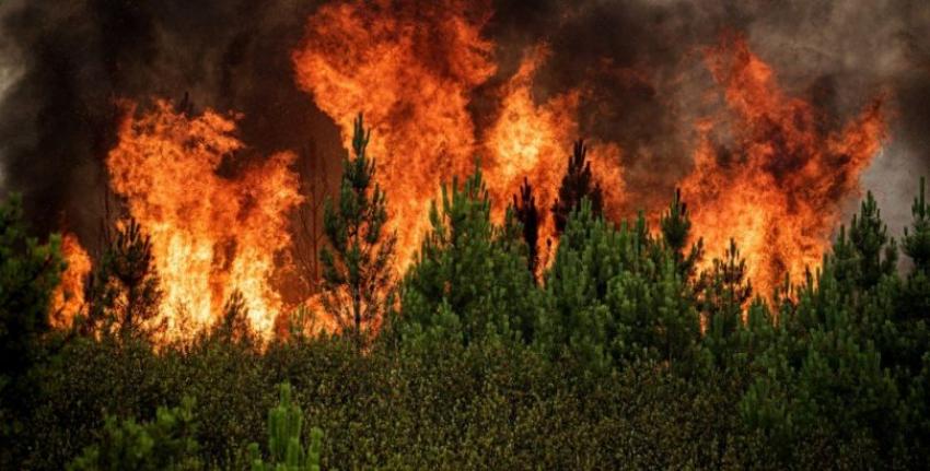 Portugal envia uma centena de operacionais para apoiar Espanha a combater incêndio