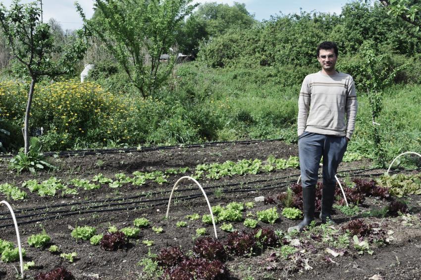 Mação: Nuno Alves ensina a plantar “A Horta de Inverno”