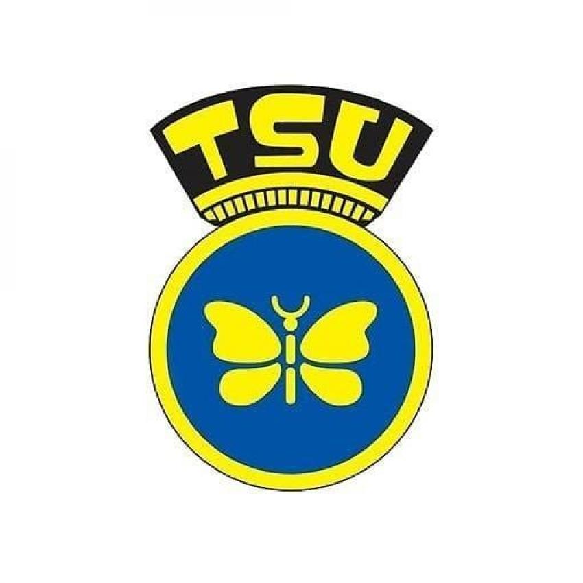 TSU faz 100 anos e Comissão de Honra é presidida por Marcelo Rebelo de Sousa